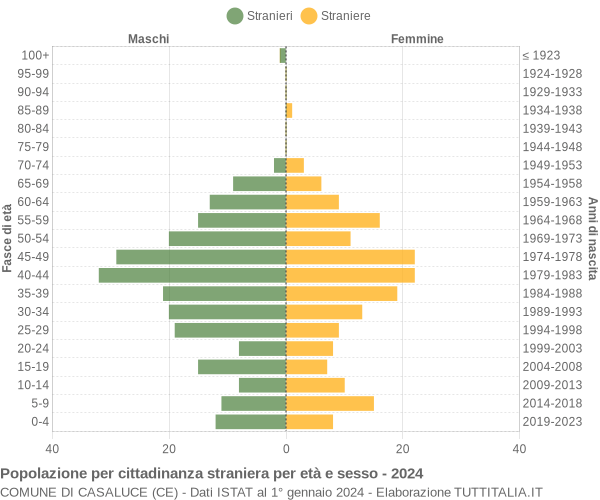 Grafico cittadini stranieri - Casaluce 2024