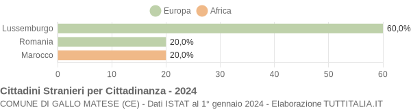 Grafico cittadinanza stranieri - Gallo Matese 2024