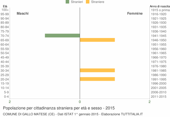 Grafico cittadini stranieri - Gallo Matese 2015