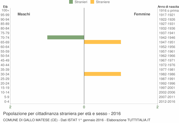 Grafico cittadini stranieri - Gallo Matese 2016