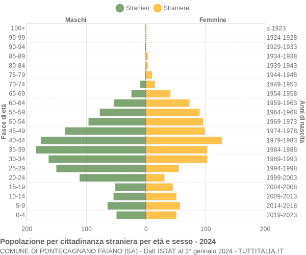 Grafico cittadini stranieri - Pontecagnano Faiano 2024