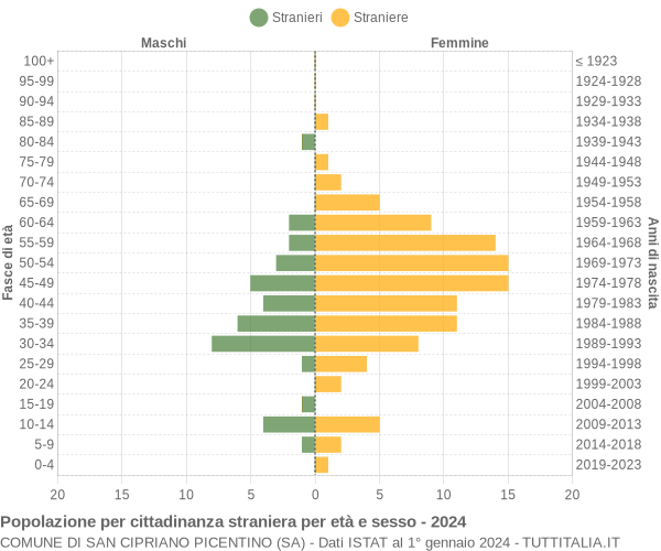 Grafico cittadini stranieri - San Cipriano Picentino 2024