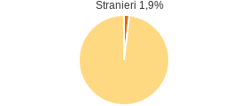 Percentuale cittadini stranieri Comune di San Cipriano Picentino (SA)