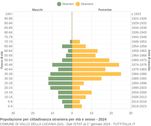 Grafico cittadini stranieri - Vallo della Lucania 2024