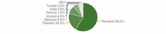 Grafico cittadinanza stranieri - Bracigliano 2015