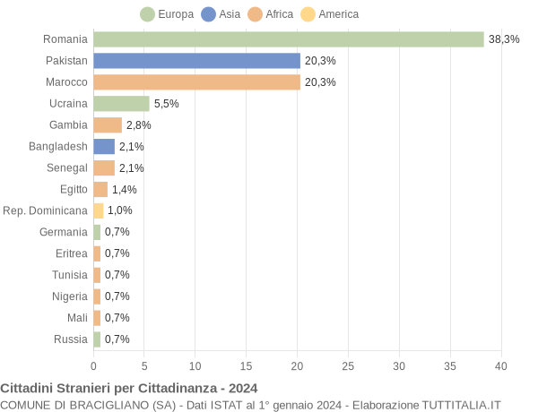 Grafico cittadinanza stranieri - Bracigliano 2024