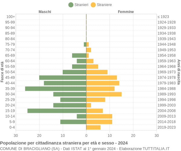 Grafico cittadini stranieri - Bracigliano 2024