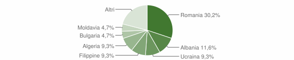 Grafico cittadinanza stranieri - Guardia Sanframondi 2009