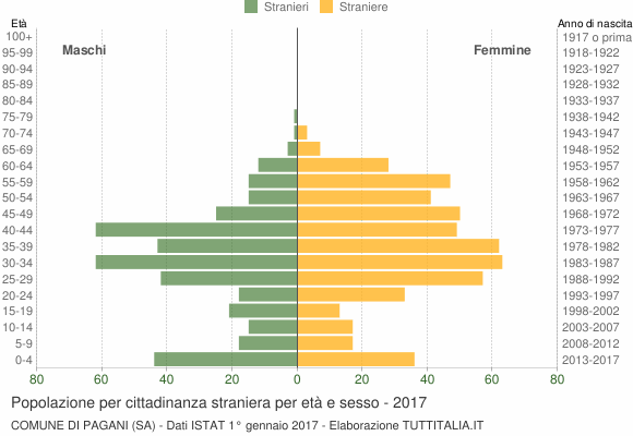 Grafico cittadini stranieri - Pagani 2017