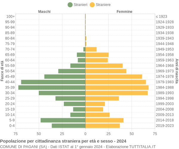 Grafico cittadini stranieri - Pagani 2024