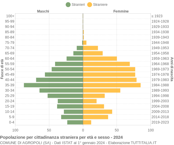 Grafico cittadini stranieri - Agropoli 2024