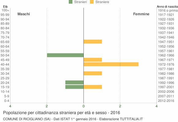 Grafico cittadini stranieri - Ricigliano 2016