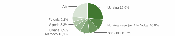 Grafico cittadinanza stranieri - Afragola 2013