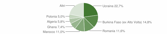Grafico cittadinanza stranieri - Afragola 2015