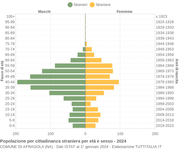 Grafico cittadini stranieri - Afragola 2024