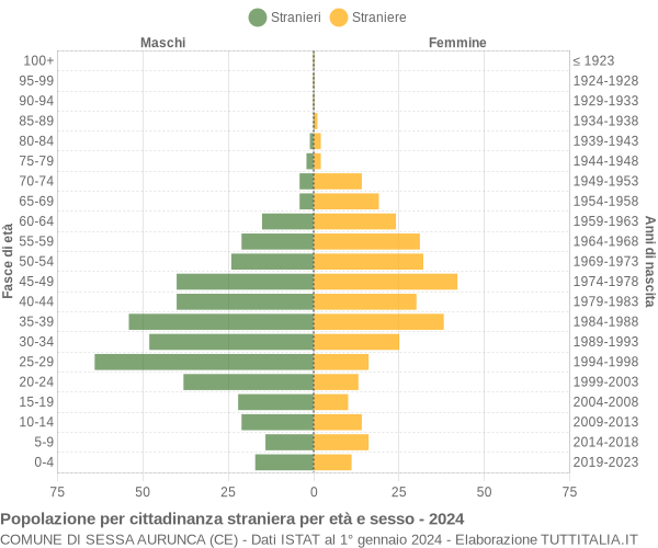 Grafico cittadini stranieri - Sessa Aurunca 2024