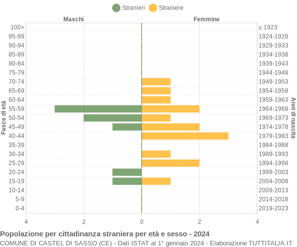 Grafico cittadini stranieri - Castel di Sasso 2024