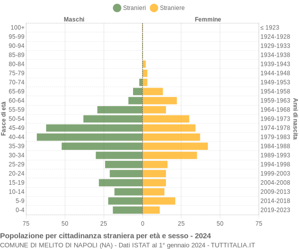 Grafico cittadini stranieri - Melito di Napoli 2024