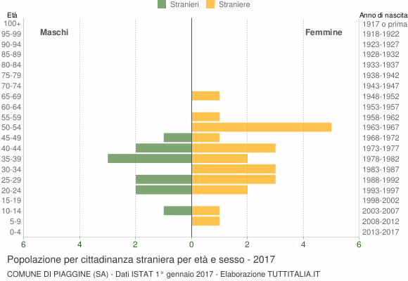 Grafico cittadini stranieri - Piaggine 2017