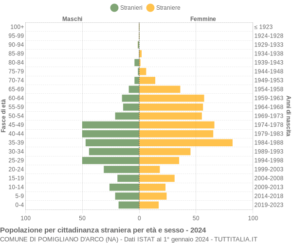 Grafico cittadini stranieri - Pomigliano d'Arco 2024