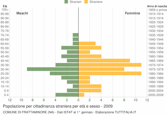 Grafico cittadini stranieri - Frattaminore 2009