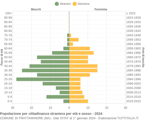 Grafico cittadini stranieri - Frattaminore 2024