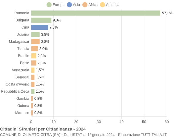 Grafico cittadinanza stranieri - Oliveto Citra 2024