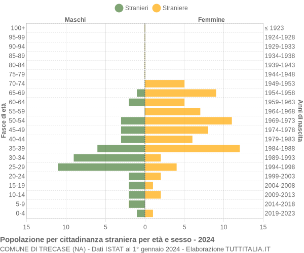 Grafico cittadini stranieri - Trecase 2024