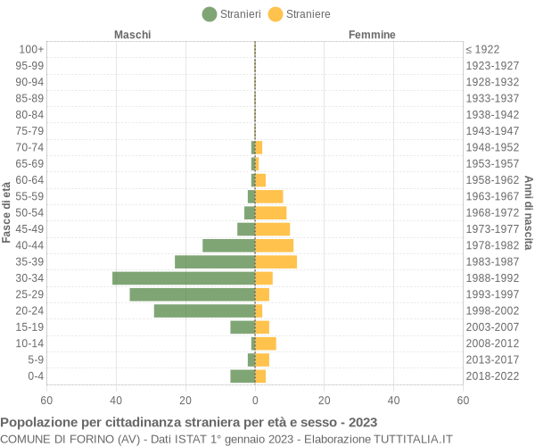 Grafico cittadini stranieri - Forino 2023