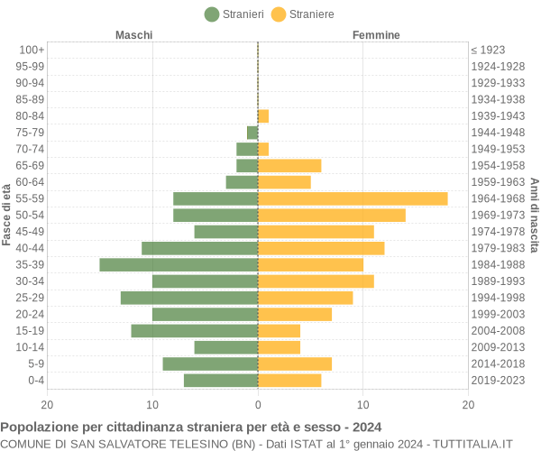 Grafico cittadini stranieri - San Salvatore Telesino 2024