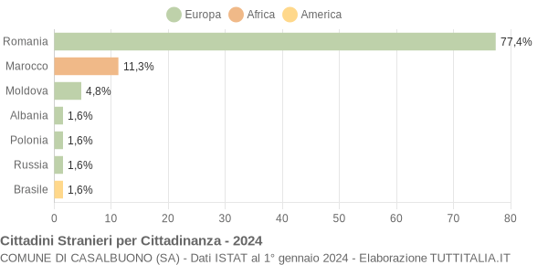 Grafico cittadinanza stranieri - Casalbuono 2024