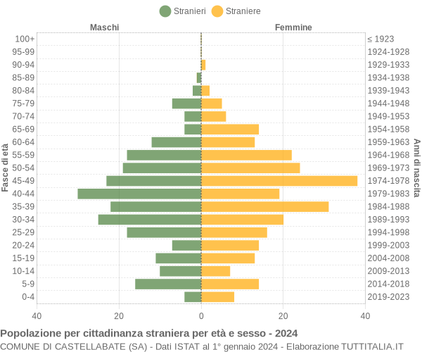 Grafico cittadini stranieri - Castellabate 2024