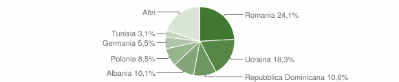 Grafico cittadinanza stranieri - Ischia 2011