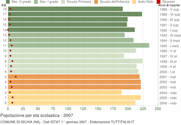 Grafico Popolazione in età scolastica - Ischia 2007