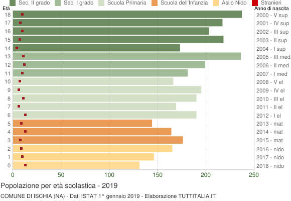 Grafico Popolazione in età scolastica - Ischia 2019