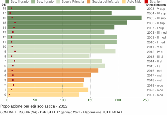 Grafico Popolazione in età scolastica - Ischia 2022