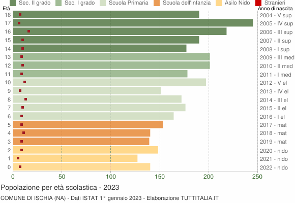 Grafico Popolazione in età scolastica - Ischia 2023