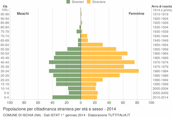 Grafico cittadini stranieri - Ischia 2014