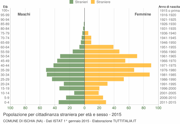 Grafico cittadini stranieri - Ischia 2015