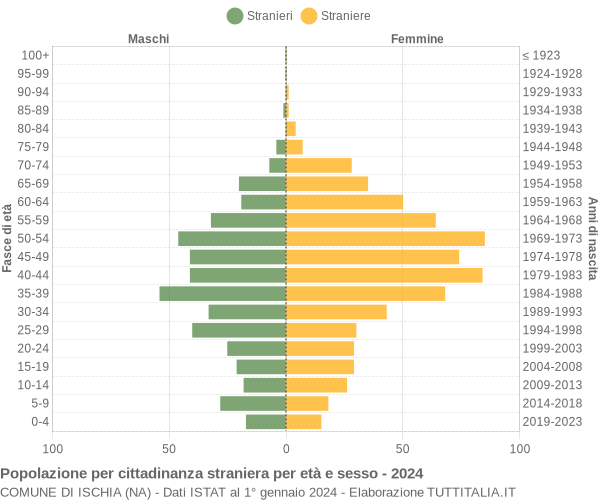 Grafico cittadini stranieri - Ischia 2024