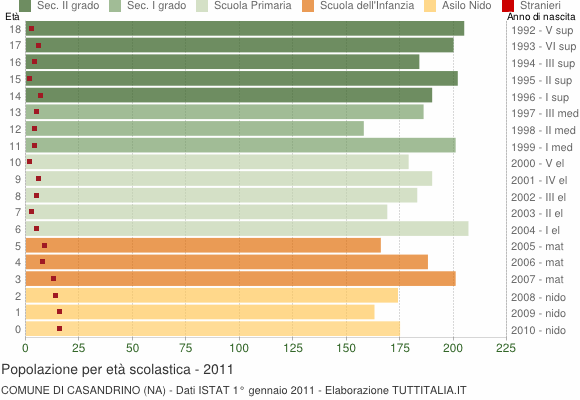 Grafico Popolazione in età scolastica - Casandrino 2011