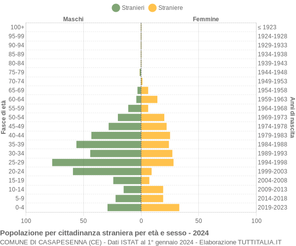 Grafico cittadini stranieri - Casapesenna 2024