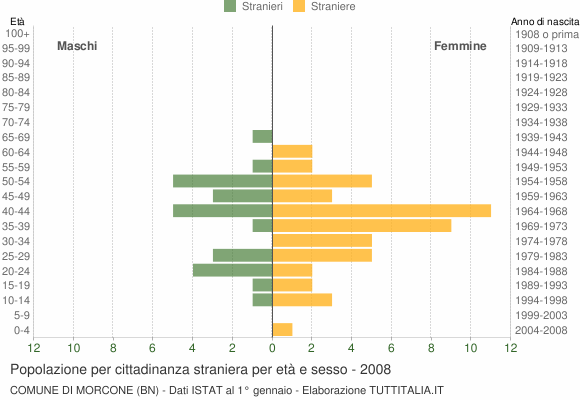 Grafico cittadini stranieri - Morcone 2008