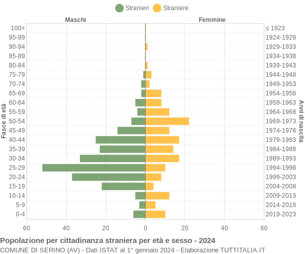 Grafico cittadini stranieri - Serino 2024