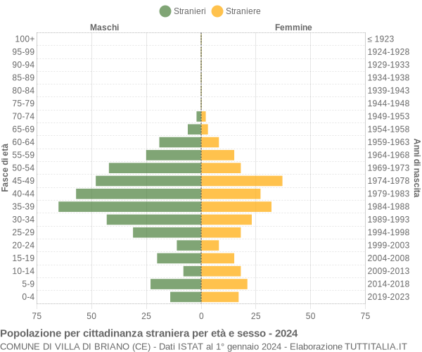 Grafico cittadini stranieri - Villa di Briano 2024