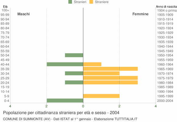 Grafico cittadini stranieri - Summonte 2004