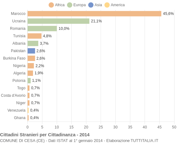 Grafico cittadinanza stranieri - Cesa 2014