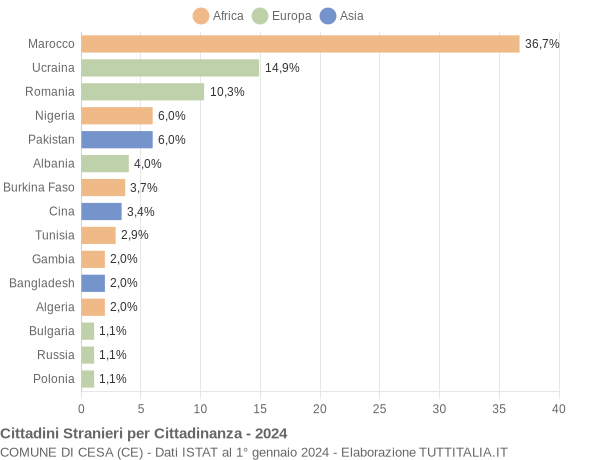 Grafico cittadinanza stranieri - Cesa 2024