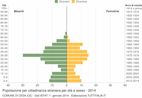 Grafico cittadini stranieri - Cesa 2014