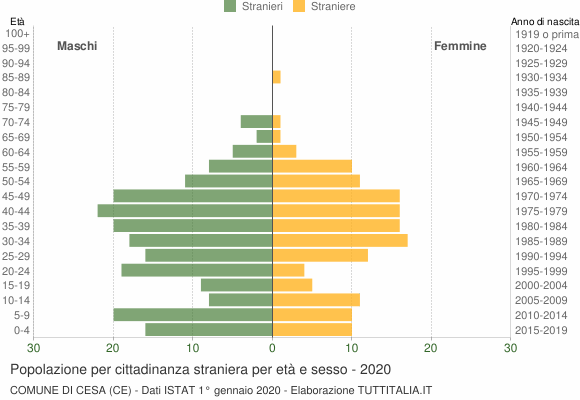 Grafico cittadini stranieri - Cesa 2020